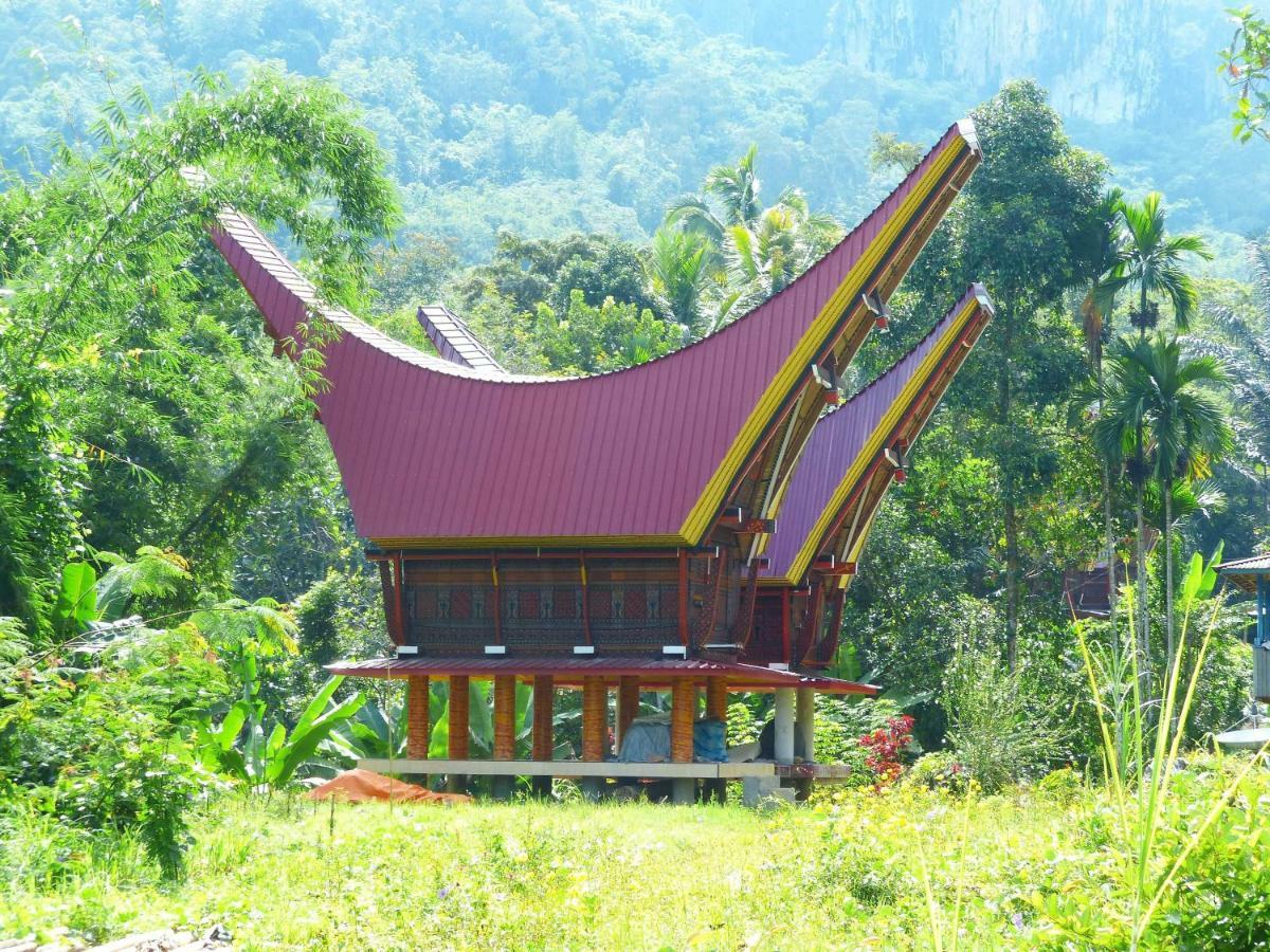 Toraja Torsina Hotel Rantepao Εξωτερικό φωτογραφία
